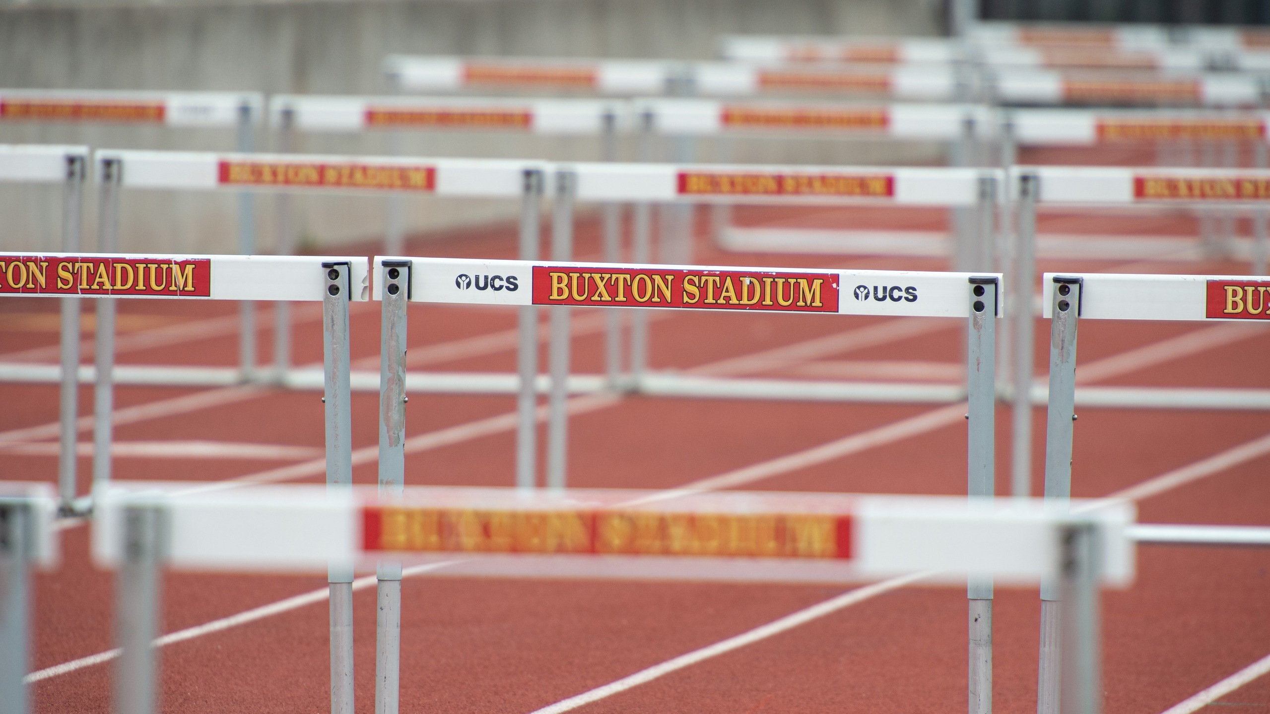 Track and field squads, five individuals claim all-academic status
