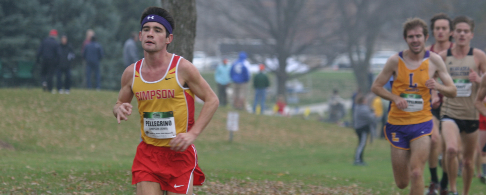 Pellegrino leads men&rsquo;s cross country to sixth at IIAC Championship