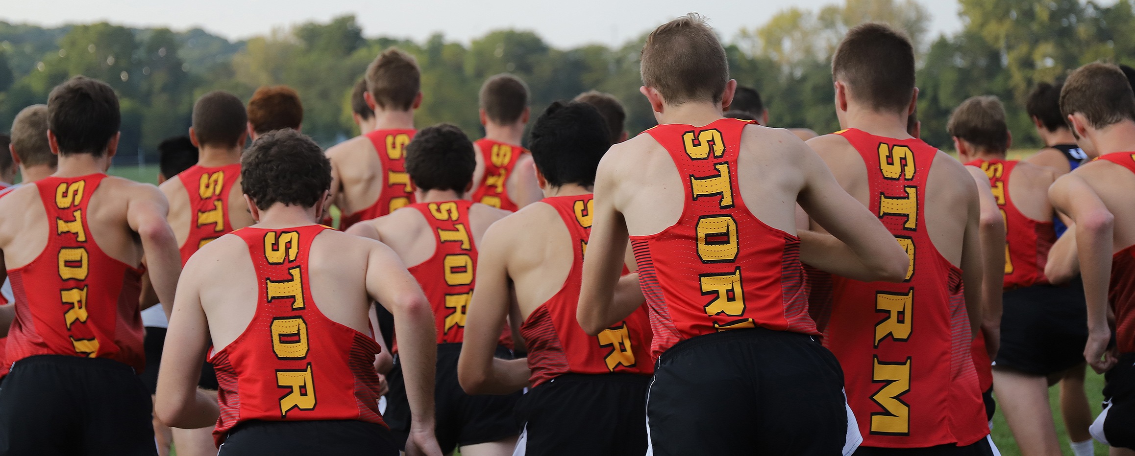 Storm men return to regional rankings