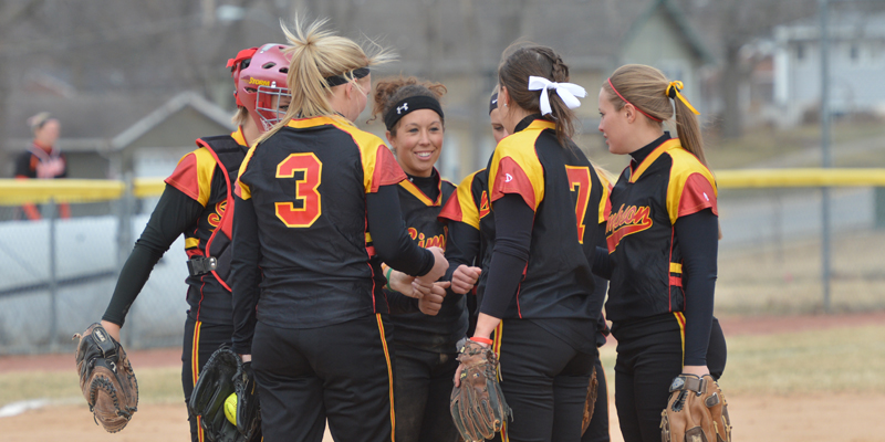 Softball team, individuals earn academic awards