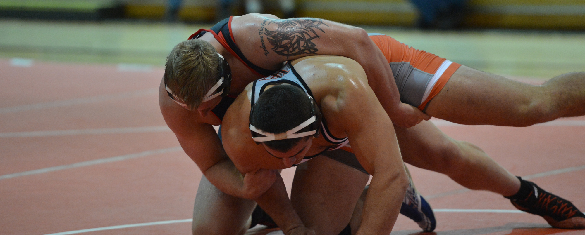 Johnston, Vlieger highlight seven placewinners at Coe