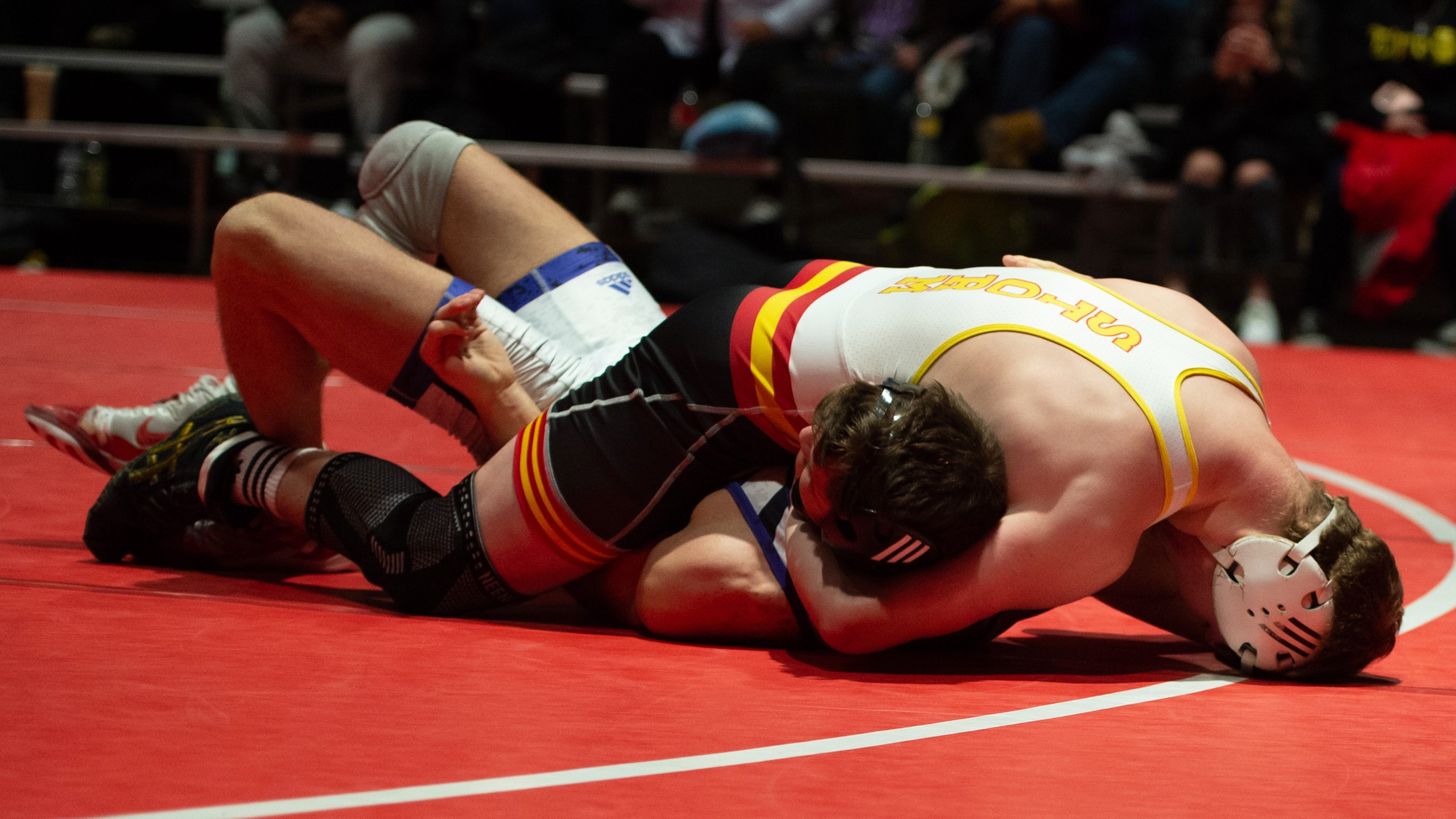 Freshman Kanin Hable
