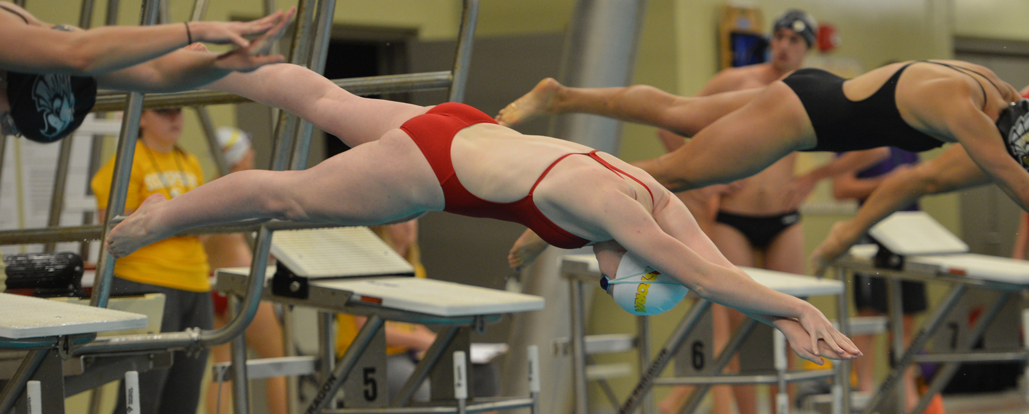 Sarah Prendergast