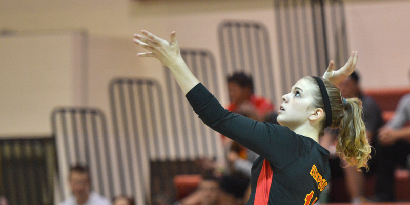 Volleyball earns academic honor
