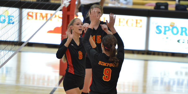 Volleyball earns AVCA Team Academic Award