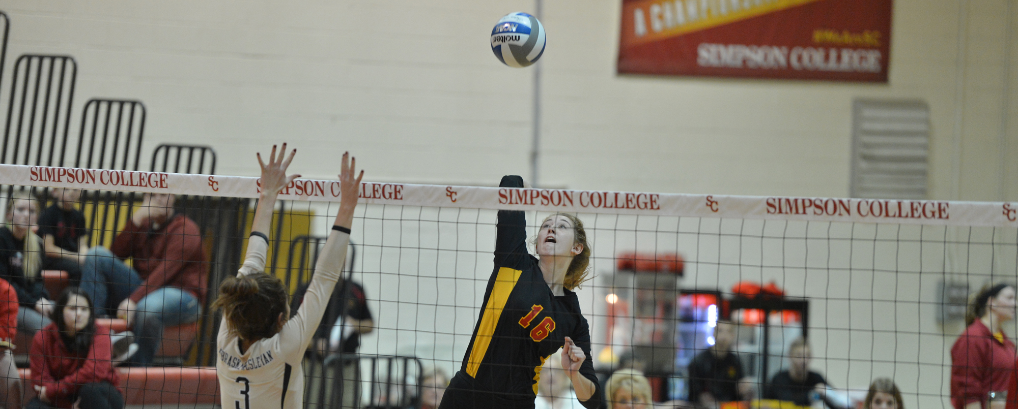Volleyball loses home finale, falls to Nebraska Wesleyan